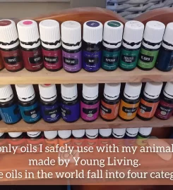 Natural emotional healing for pets