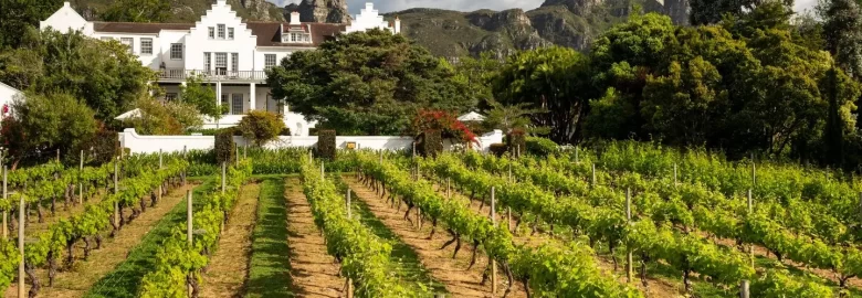 THE CELLARS-HOHENORT Pet Friendly Accommodation