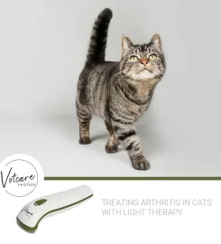 Photizo Light Therapy
