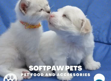 Softpaw Pets