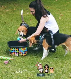 Tails & Trails Pet Services