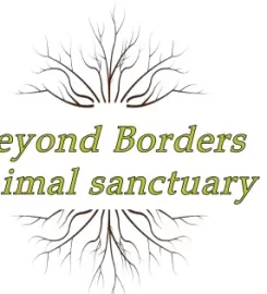 BEYOND BORDERS ANIMAL SANCTUARY