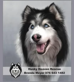 Husky Heaven Rescue