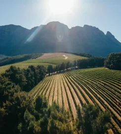 Knorhoek Wine Farm and Guesthouse
