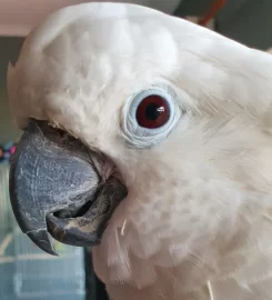 BEYOND BORDERS ANIMAL SANCTUARY