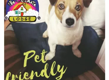 The Ultimate Lodge
