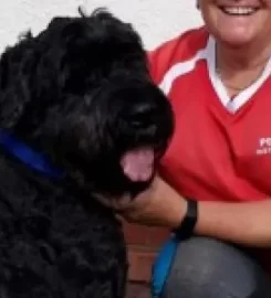 HAPPY TAILS DOG TRAINING – GARDEN ROUTE