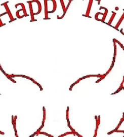 HAPPY TAILS DOG TRAINING – GARDEN ROUTE