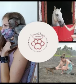 NAMASDOGGO ANIMAL BEHAVIOURIST