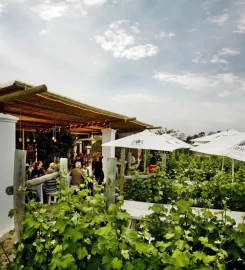 BRAMON BOUTIQUE WINE ESTATE