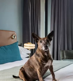 Home Suite Hotels Rosebank