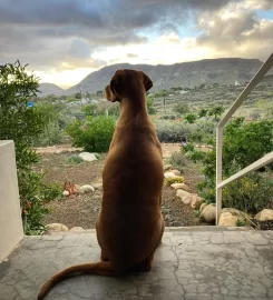 Karoo View Cottages
