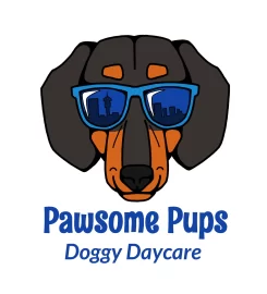 PAWSOME PUPS DAYCARE