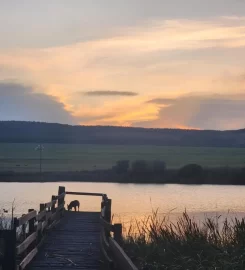 Reedbuck Lodge