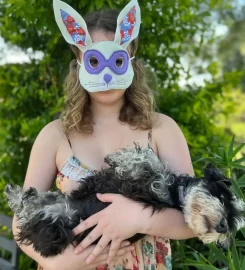 SHAGGY CHIC DOGGY DAY CARE