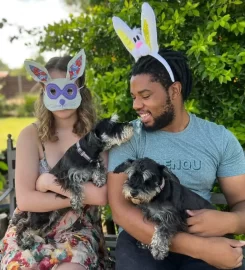 SHAGGY CHIC DOGGY DAY CARE