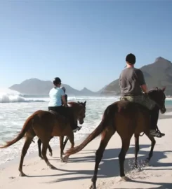 Horse Riding Cape Town