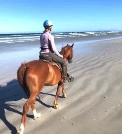 Horse Riding Cape Town