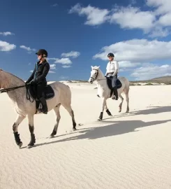 Horse Riding Cape Town