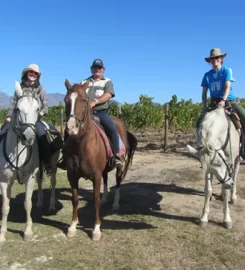 Horse Riding Cape Town