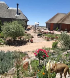 Slypsteen Guest Farm