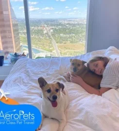 AeroPets Worldwide