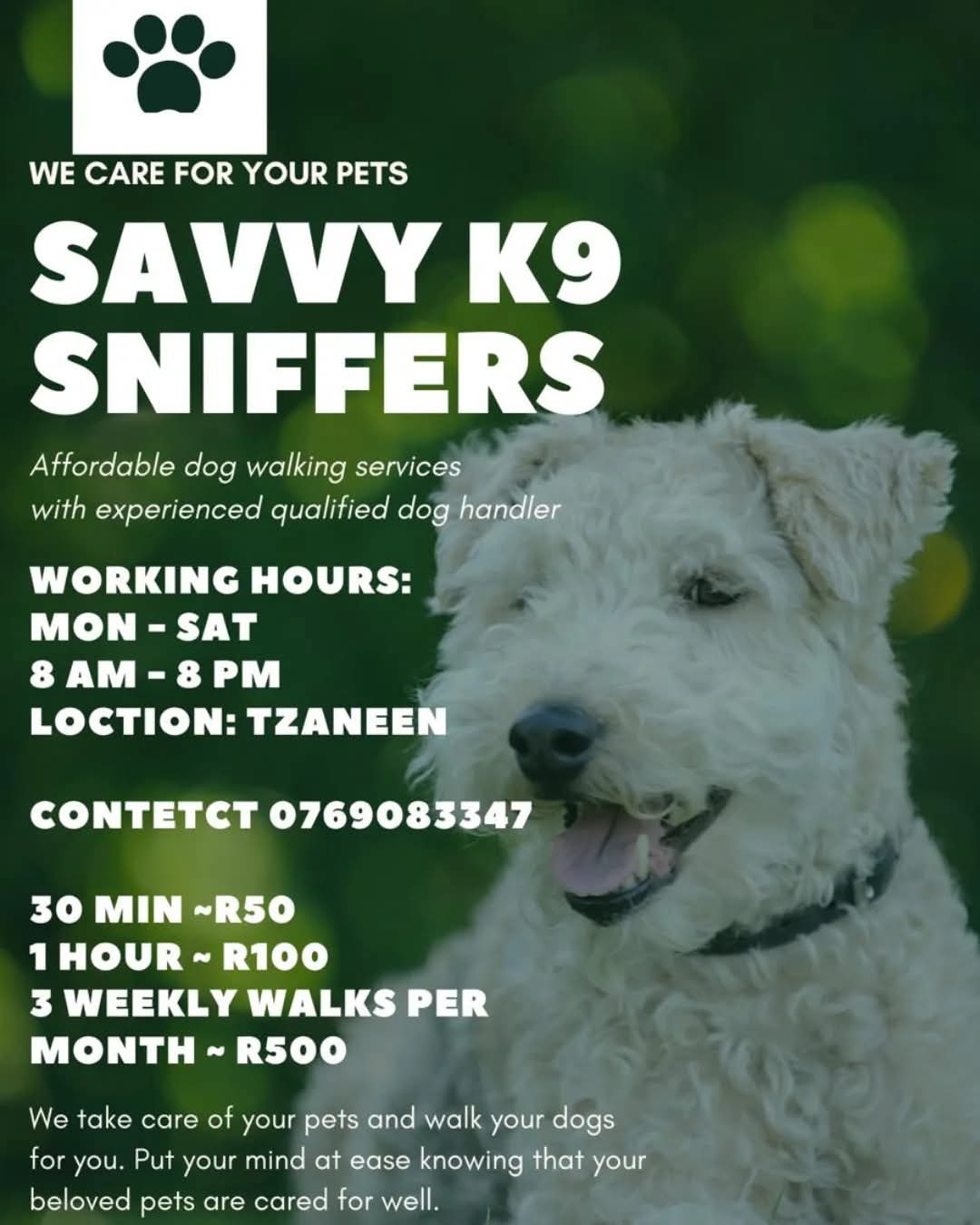 Savvy K9 Sniffers