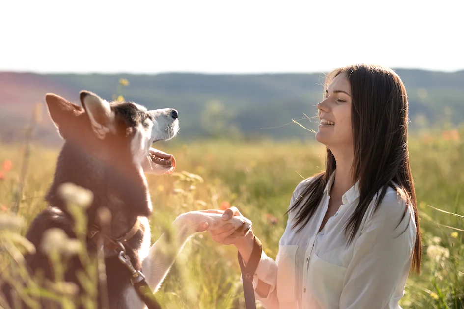 Woman holding husky dog hand