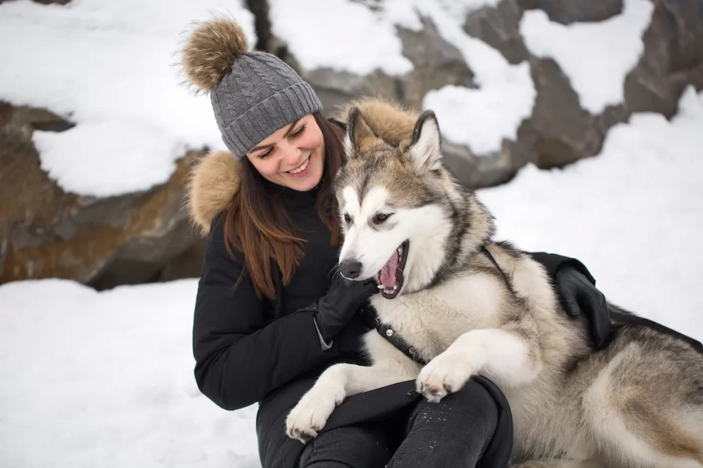 Woman bonding with husky dog in snow