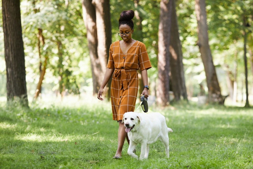 Woman walking dog at the park