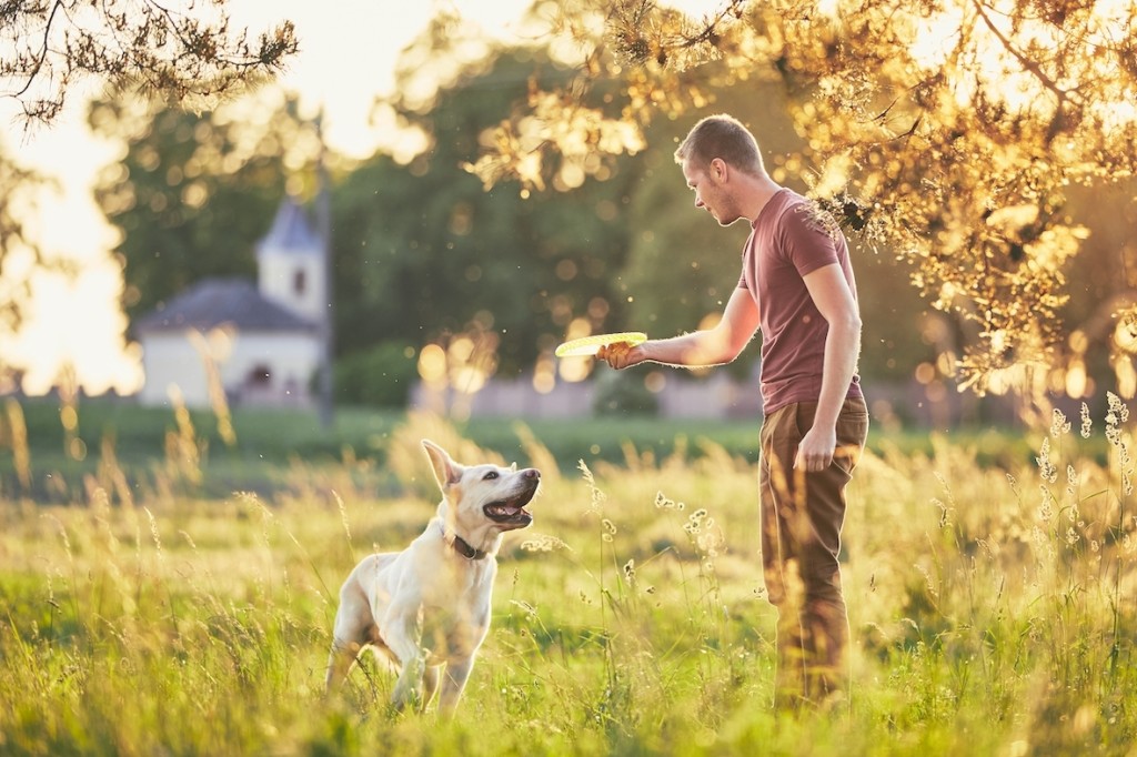 Man playing with his dog in field