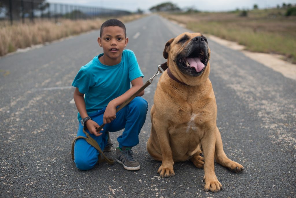 Portrait of young boy with his boerboel dog