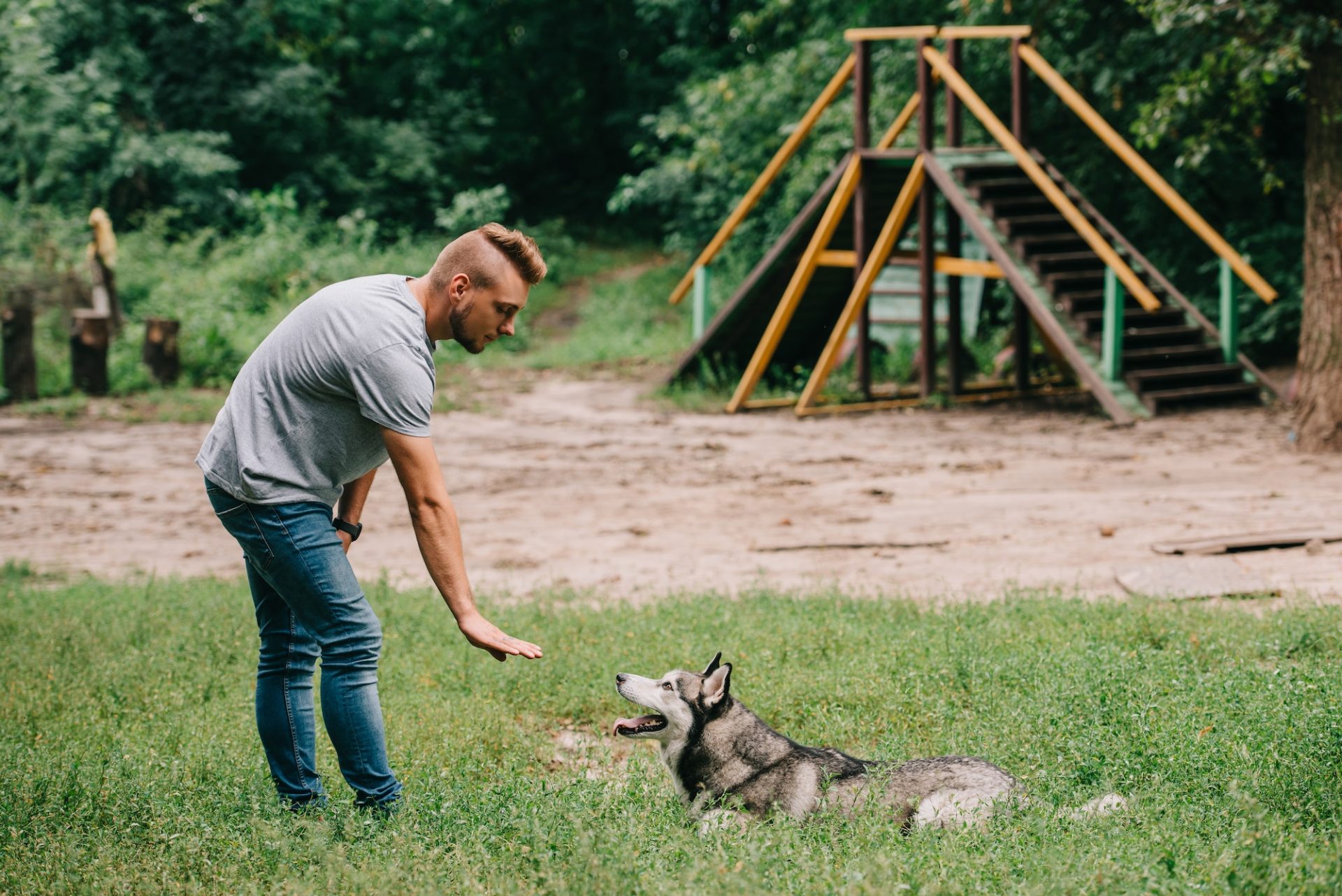 Man training dog outside. Pest24