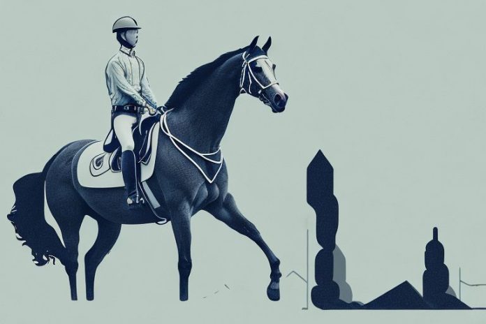A horse and rider in the newcastle countryside