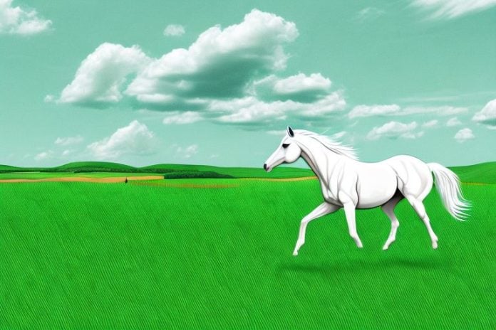 A horse galloping through a grassy landscape in the eastern cape