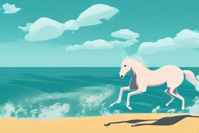 A horse galloping through a beach landscape in ballito