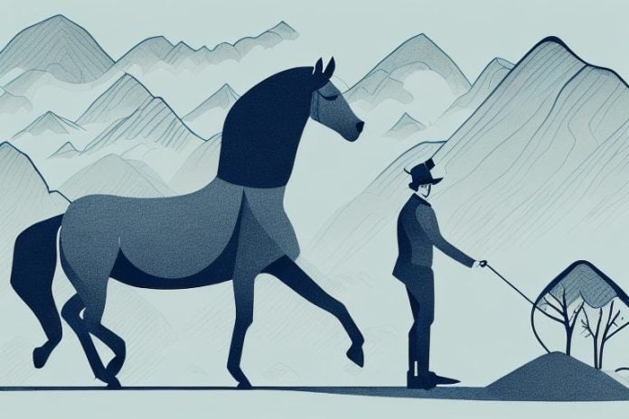 A horse and rider in queenstown's picturesque landscape