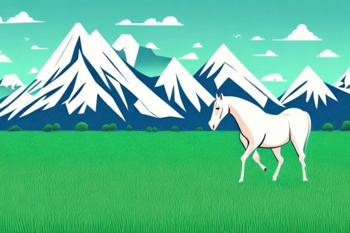 A horse in a field of grass