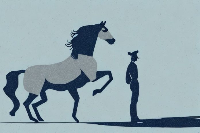 A horse and rider in the northern cape landscape