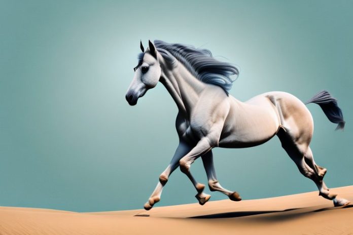 An arabian horse in motion