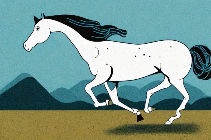 An american quarter horse galloping in a rural landscape
