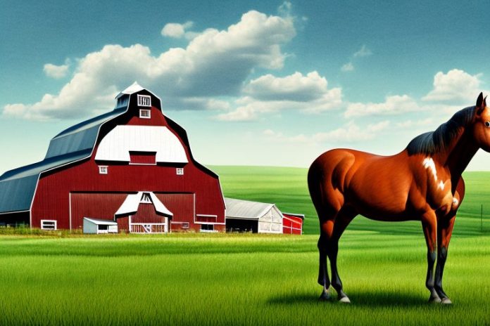 An american quarter horse in a rural setting