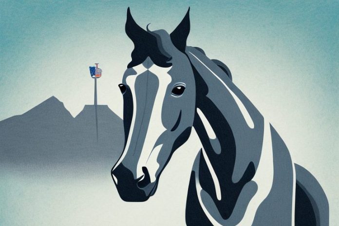 An american quarter horse in a johannesburg landscape