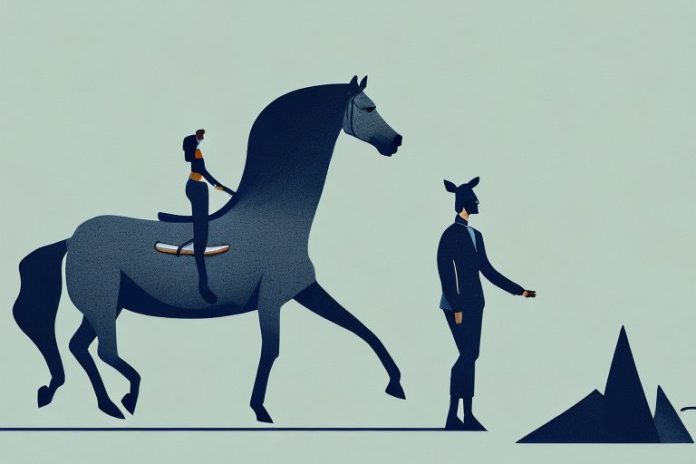 A horse and rider in the landscape of mokopane