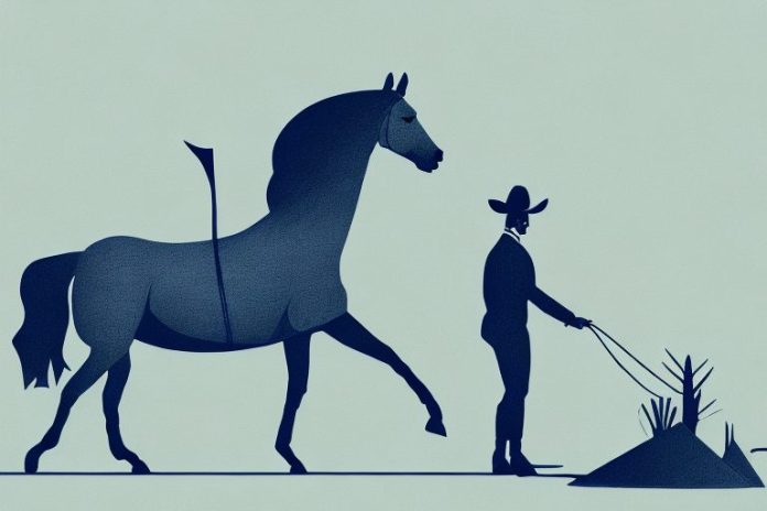 A horse and rider in the tzaneen landscape
