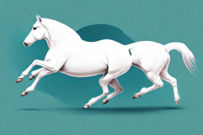 A white american quarter horse galloping across a river