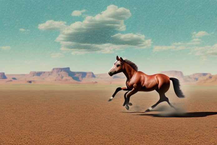 An american quarter horse galloping through the desert landscape of upington