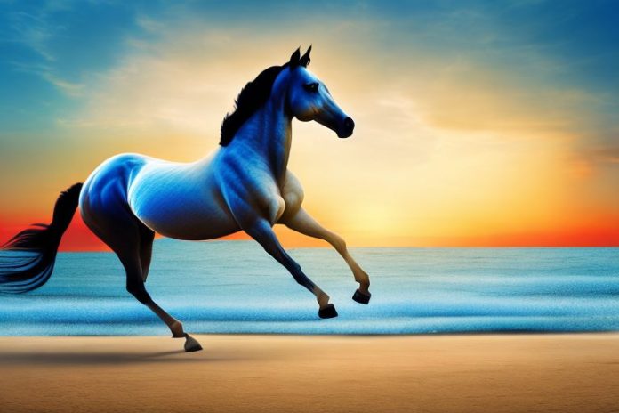 An arabian horse galloping on a beach