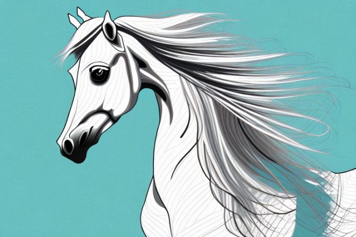 An arabian horse in a welkom landscape