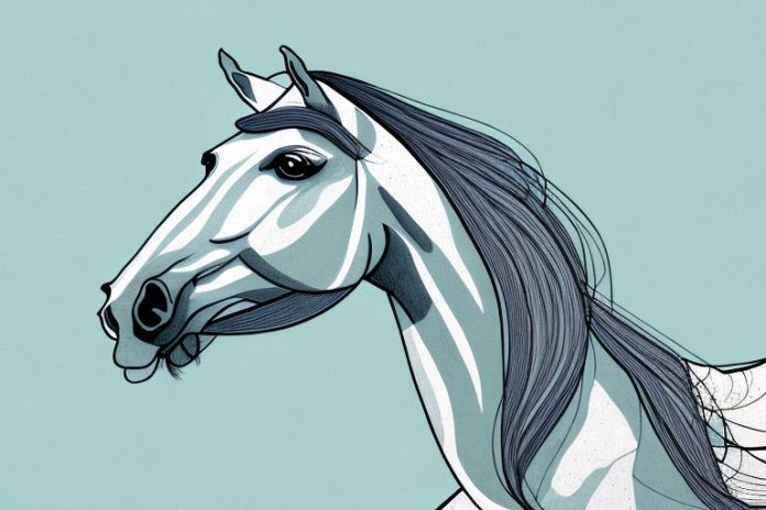 An arabian horse in a polokwane landscape